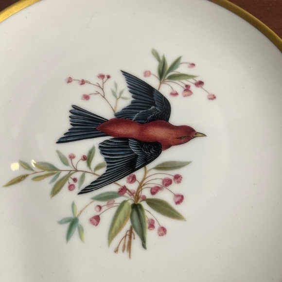 Vintage Bavarian Bird Motif Bone China Salad/Dessert Plate - Picture 2 of 4